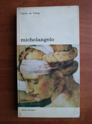 Charles de Tolnay - Michelangelo foto