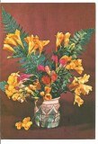@carte postala(ilustrata) -FELICITARE