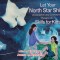 Let Your North Star Shine