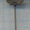 AX 248 INSIGNA -TURISM MONTAN - DRUMETIE MONTANA- ,,DWB&quot; 50 -FRUMOASA