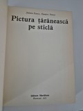 Iuliana Dancu Pictura taraneasca pe sticla Editie in limba romana
