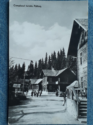 334 - Complexul turistic Paltinis / RPR/ carte postala circulata 1963 foto