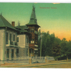 549 - SINAIA, Prahova, Litho, Romania - old postcard - unused
