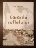 Ion Ghinoiu - Cărările sufletului