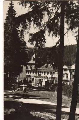 CPIB 22740 - CARTE POSTALA - BORSEC. VEDERE DIN STATIUNE foto