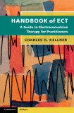 Handbook of Ect: A Guide to Electroconvulsive Therapy for Practitioners
