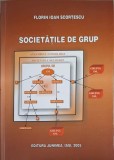 Societatile de Grup - Florin Ioan Scortescu, 2005, Editura Junimea, Carte Economie, Marketing, 366 pagini
