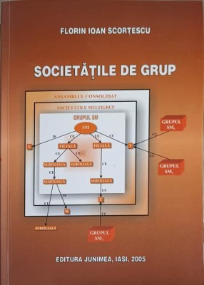 SOCIETATILE DE GRUP-FLORIN IOAN SCORTESCU-261026 foto