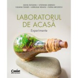 Cumpara ieftin Laboratorul de acasa Experimente, Silvia Olteanu, Corint