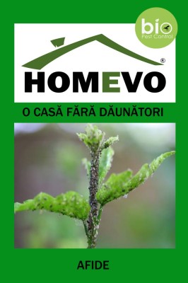 Insecticid BIO impotriva afidelor foto
