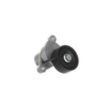 SKF Intinzator curea, curea distributie