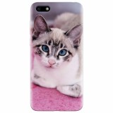 Husa silicon pentru Huawei Y5 2018, Siamese Kitty