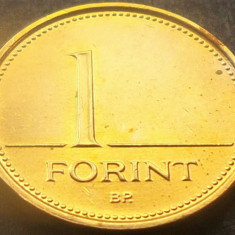 Moneda 1 FORINT - UNGARIA, anul 2001 * cod 1869