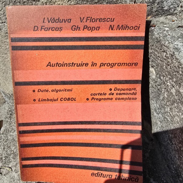 Ilie Vaduva - Autoinstruire in programare
