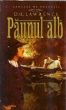Paunul alb - D.H. Lawrence