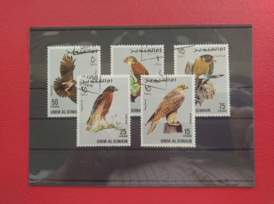 UMM AL QIWAIN - PASARI foto