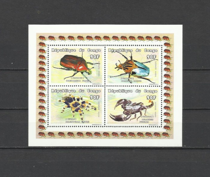 PR CONGO 1999 FAUNA INSECTE