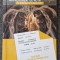 GHID PENTRU BACALAUREAT DE NOTA 10 LA BIOLOGIE CLASELE XI-XII 2016 - Stelica Ene