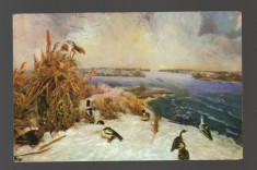 CPIB 17181 CARTE POSTALA - TULCEA. MUZEUL DELTA DUNARII DIORAMA INSULA SACHALIN