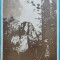 Carte postala, Bucegi, Bucsoiul, 1952