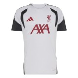 FC Liverpool tricou de fotbal Tiro grey - XXL