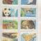 bnk crc Brooke Bond Tea - Fauna - completa