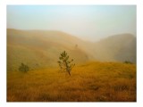 Tablou Canvas Peisaj Natură Ceață Solitudine Armonie Calm, 39 x 26 cm, CMCLASS