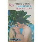 LABIRINTUL TRECUTULUI-VANESSA JAMES-221295