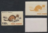 Romania 1993 timbru MNH uzuale animale Hermelina fara culoarea neagra avand lipsa valoarea nominala si inscriptia POSTA ROMANA, Fauna, Nestampilat