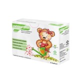 Saruri de rehidratare Rehisol Plus, 6 + 6 plicuri, Dr. Phyto