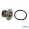 Termostat Volkswagen New Beetle (1998-2010)[9C1,1C1] #1
