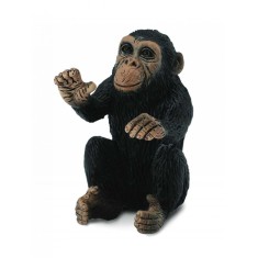 Cimpanzeu Pui - Collecta