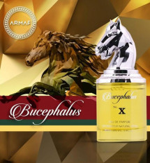 Armaf Niche Bucephalus No.IX EDP 100ml pentru Barba?i ?i Femei foto