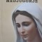 PELERIN ORTODOX LA MEDJUGORJE-AUREL HASNES-CIURDARIU-201247
