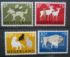 CV1 1964 SERIE OLANDA