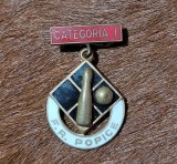 Insigna Categoria 1 Popice