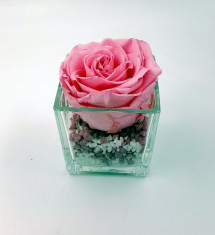Trandafir Natural Criogenat 8cm in mini vaza de sticla foto