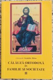 Calauza ortodoxa in familie si societate - Ioanichie Balan// vol. 2