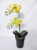 Orhidee silicon galbenă
