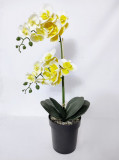 Cumpara ieftin Orhidee silicon galbenă