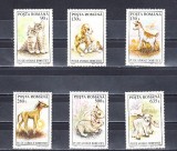 M1 TX3 3 - 1994 - Pui de animale domestice, Fauna, Nestampilat