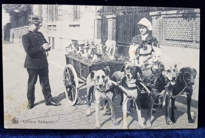 LAPTAREASA FLAMANDA , CARTE POSTALA ILUSTRATA , MONOCROMA , CIRCULATA , DATATA 1912 foto