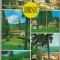 CPIB 15209 - CARTE POSTALA - BORSEC, MOZAIC, DANTELATA