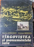 TARGOVISTEA SI MONUMENTELE SALE - NICOLAE STOICESCU