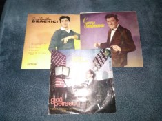 21 VINILURI MUZICA FORMAT MIC