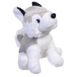 Catelus de plus Husky ,15 cm