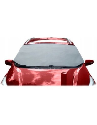 Covoras Protectie Parbriz Termoizolant Carpassion 145x175X95 cm foto