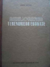 Ameliorarea Terenurilor Erodate - Vasile Baloiu ,524431 foto