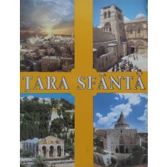 Tara Sfanta - Colectiv , E543