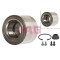 FAG Set rulment roata